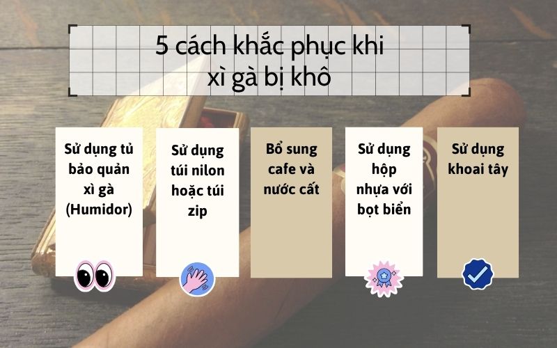 5 cách khắc phục khi xì gà bị khô