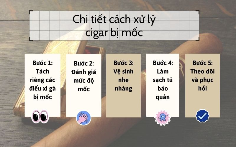 Chi tiết cách xử lý cigar bị mốc