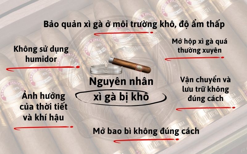 Nguyên nhân khiến xì gà bị khô