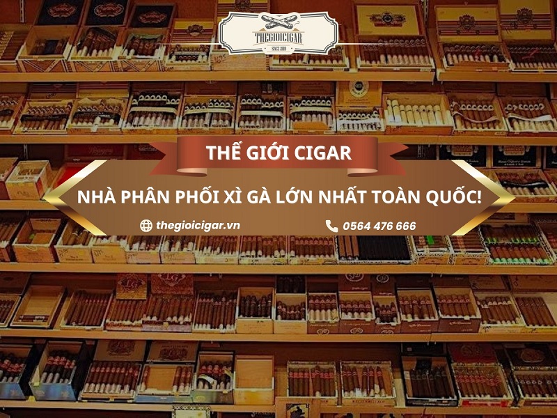 Cửa hàng xì gà chính hãng Thế Giới Cigar