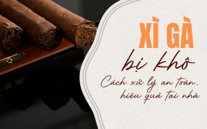 xì gà bị khô
