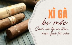 xì gà bị mốc