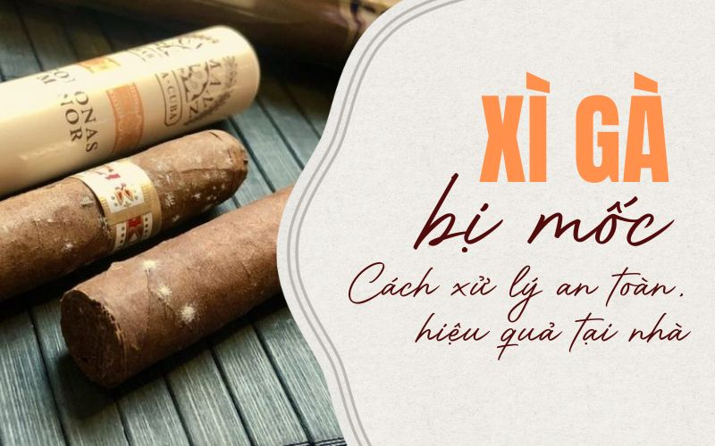 xì gà bị mốc