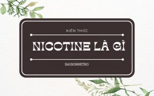 Nicotine là gì