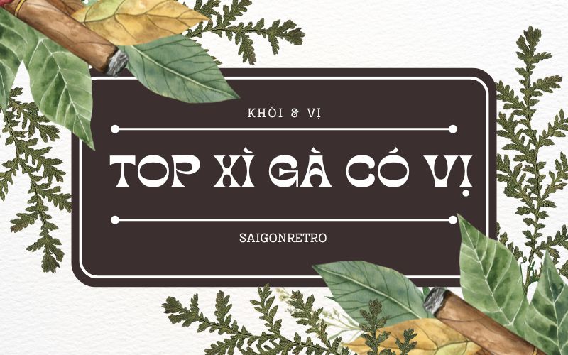 Top xì gà có hương vị