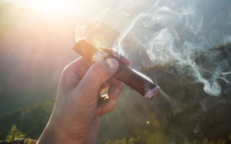 Vì sao xì gà có mùi đặc trưng và bám lâu?