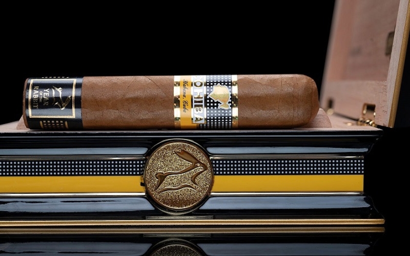 một số lưu ý khi chọn mua Cohiba Siglo 6