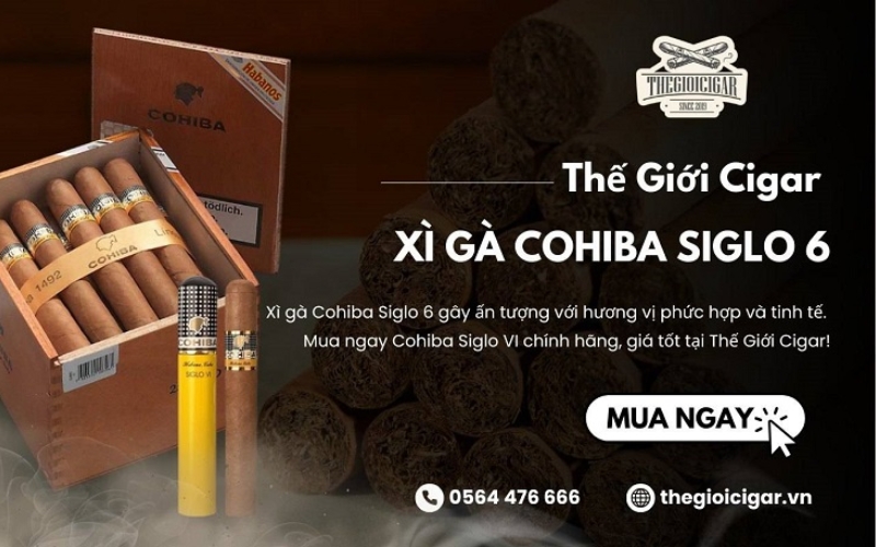 Mua xì gà Cohiba Siglo 6 chính hãng tại Thế Giới Cigar