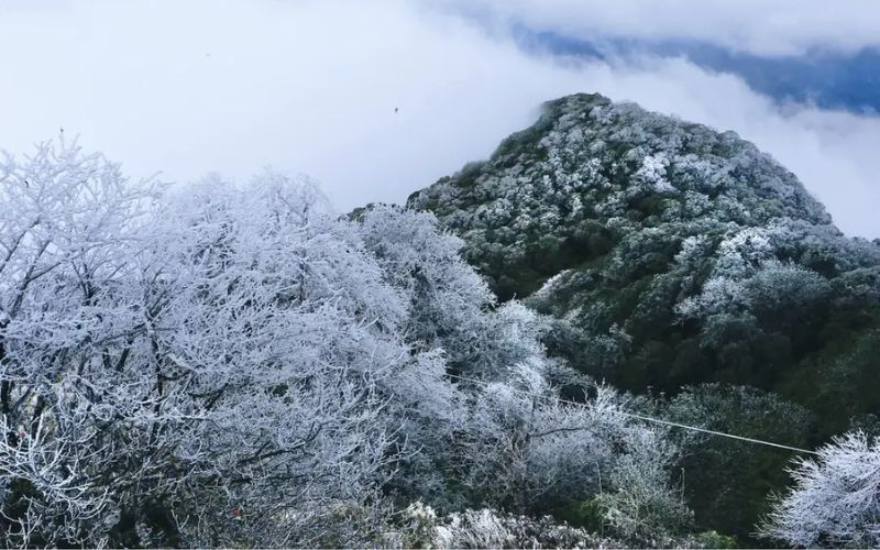 Khu sinh thái Phia Oắc