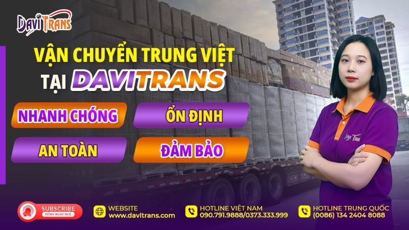 Đại Việt Davitrans