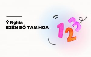 ý nghĩa biển số tam hoa