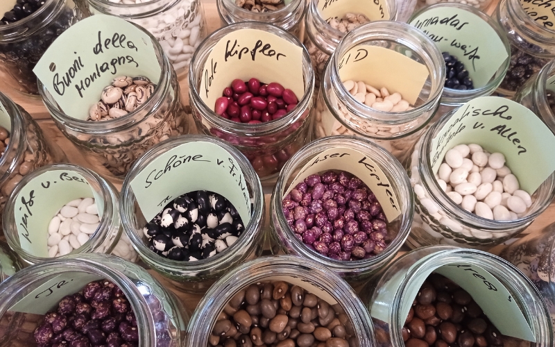 Đóng gói hạt giống và ghi nhãn