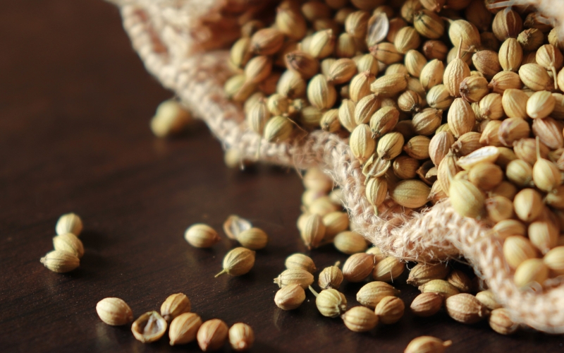 Làm sạch và phân loại hạt giống