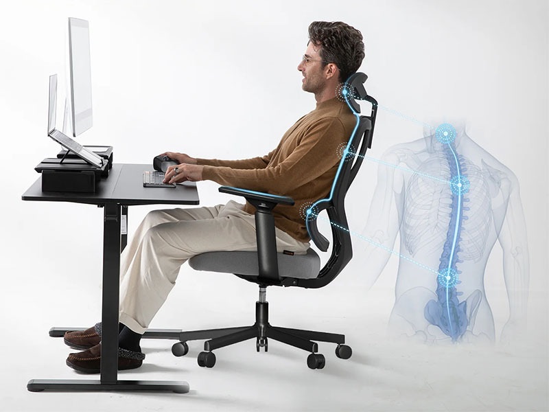 Ghế công thái học có tác dụng gì